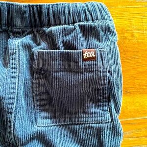 Tea Collection Corduroy Pants Blue